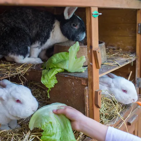 Marquardt Schwalbennest *